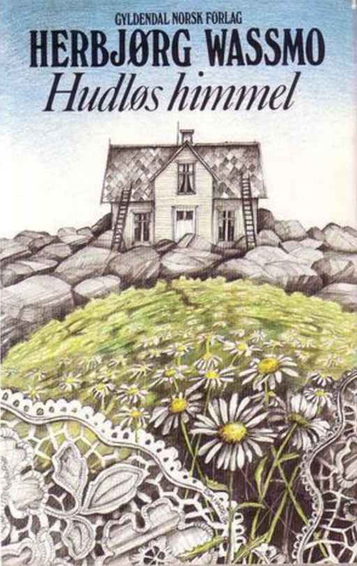 Hudløs himmel: roman (Innbundet) - Bokia.no