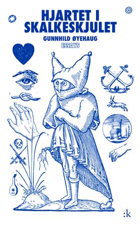 Hjartet i skalkeskjulet 9788205568501 Gunnhild Øyehaug Brukte bøker