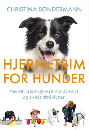 Hjernetrim for hunder 9788282118620 Christina Sondermann Brukte bøker