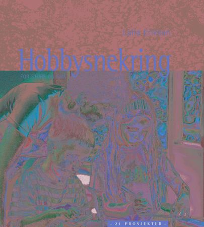 Hobbysnekring for store og små 9788202216214 Laila Eriksen Brukte bøker