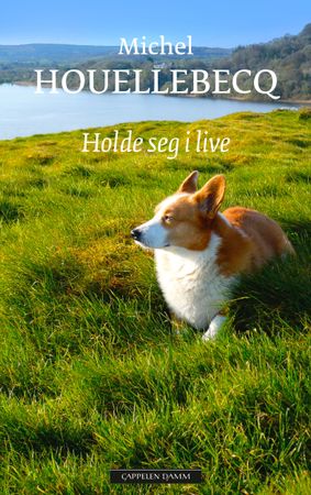 Holde seg i live 9788202714581 Michel Houellebecq Brukte bøker