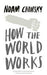How the World Works 9780241145388 Noam Chomsky David Barsamian Brukte bøker