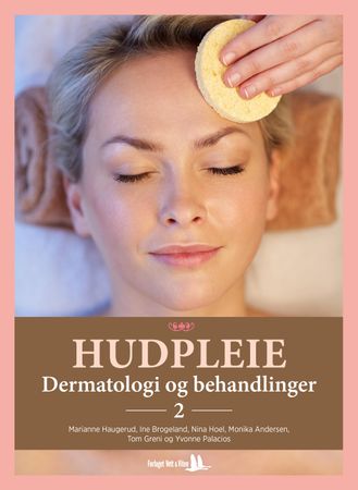 Hudpleie 9788241207419 Marianne Haugerud Ine Brogeland Nina Hoel Tom Greni Yvonne Palacios Monika Andersen Brukte bøker