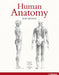 Human Anatomy for Artists 9783833162565  Brukte bøker