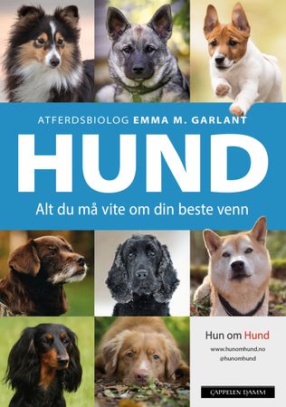 Hund 9788202736460 Emma M. Garlant Brukte bøker