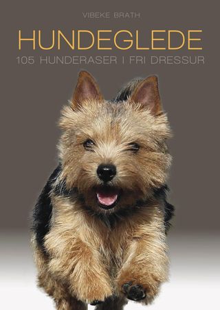 Hundeglede 9788293351443 Vibeke Brath Brukte bøker