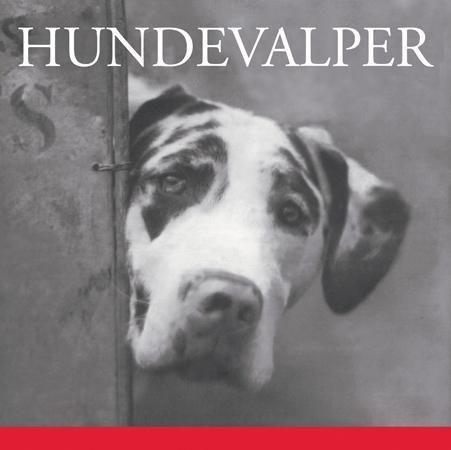 Hundevalper 9788205337008  Brukte bøker