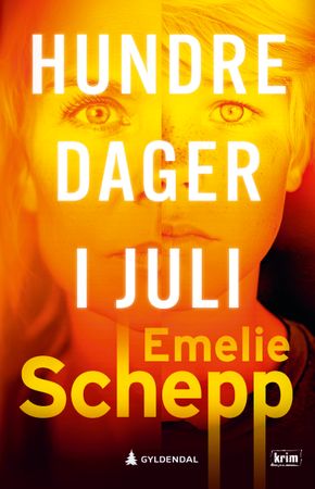 Hundre dager i juli 9788205610439 Emelie Schepp Brukte bøker