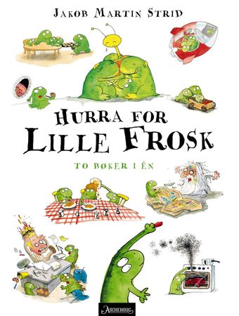 Hurra for Lille Frosk 9788203263989 Jakob Martin Strid Brukte bøker