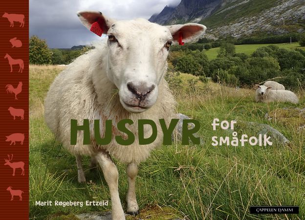 Husdyr for småfolk 9788202800154 Marit Røgeberg Ertzeid Brukte bøker