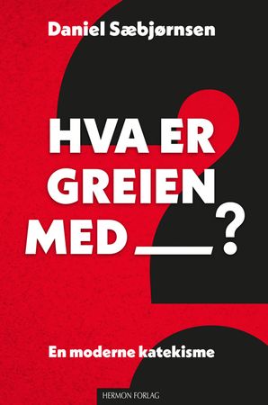 Hva er greien med? 9788230216637 Daniel Sæbjørnsen Brukte bøker