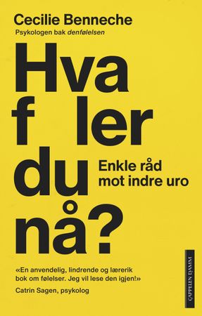Hva føler du nå? 9788202695446 Cecilie Benneche Brukte bøker