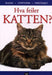 Hva feiler katten? 9788249603862 Bruce Fogle Brukte bøker