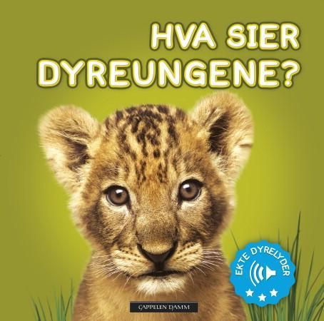 Hva sier dyreungene? 9788202476908  Brukte bøker