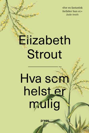 Hva som helst er mulig 9788232805488 Elizabeth Strout Brukte bøker