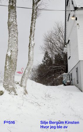 Hvor jeg ble av 9788282885355 Silje Bergum Kinsten Brukte bøker