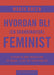 Hvordan bli (en skandinavisk) feminist 9788202661410 Marta Breen Brukte bøker