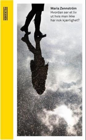 Hvordan ser et liv ut hvis man ikke har nok kjærlighet? 9788293237037 Maria Zennström Brukte bøker