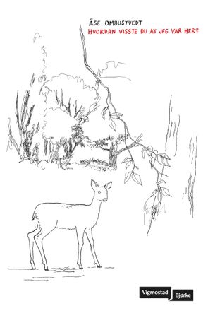 Hvordan visste du at jeg var her? 9788241955952 Åse Ombustvedt Brukte bøker