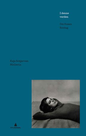 I denne verden 9788205492752 Kaja Schjerven Mollerin Brukte bøker