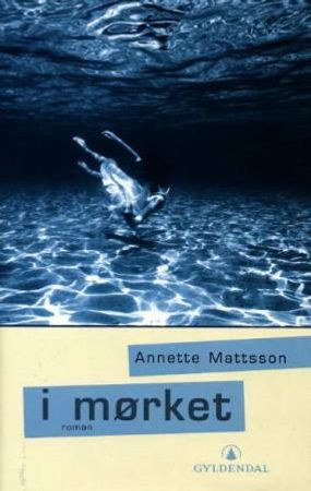 I mørket 9788205306561 Annette Mattsson Brukte bøker