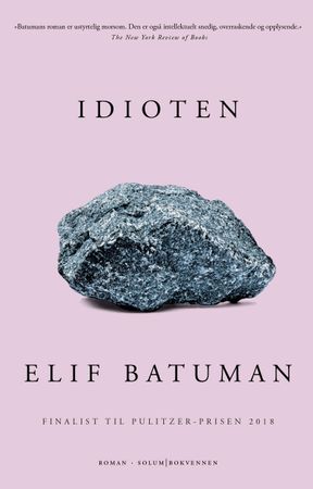 Idioten 9788256020737 Elif Batuman Brukte bøker