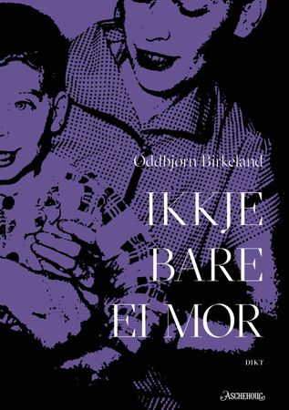 Ikkje bare ei mor 9788203379611 Oddbjørn Birkeland Brukte bøker