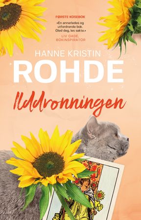 Ilddronningen 9788293860051 Hanne Kristin Rohde Brukte bøker