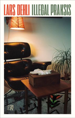 Illegal praksis 9788282885782 Lars Dehli Brukte bøker