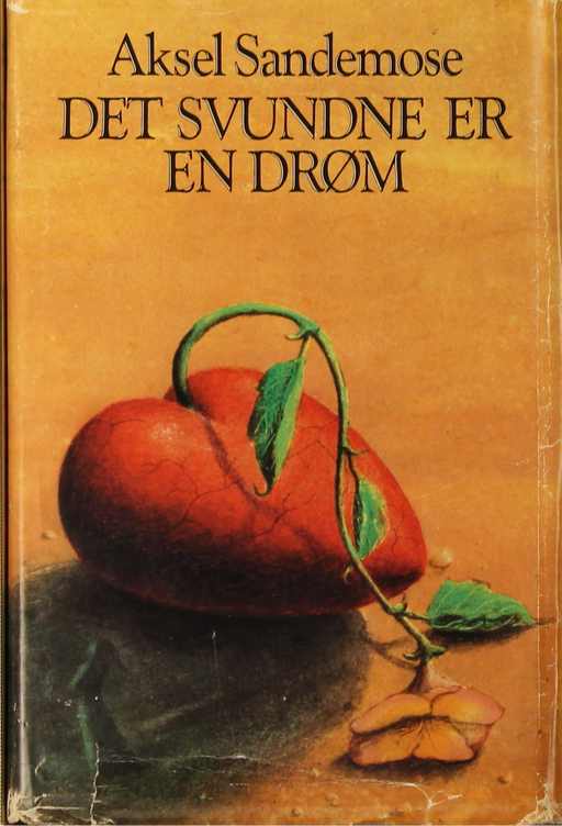 Det svundne er en drøm (Pocket) - Bokia.no