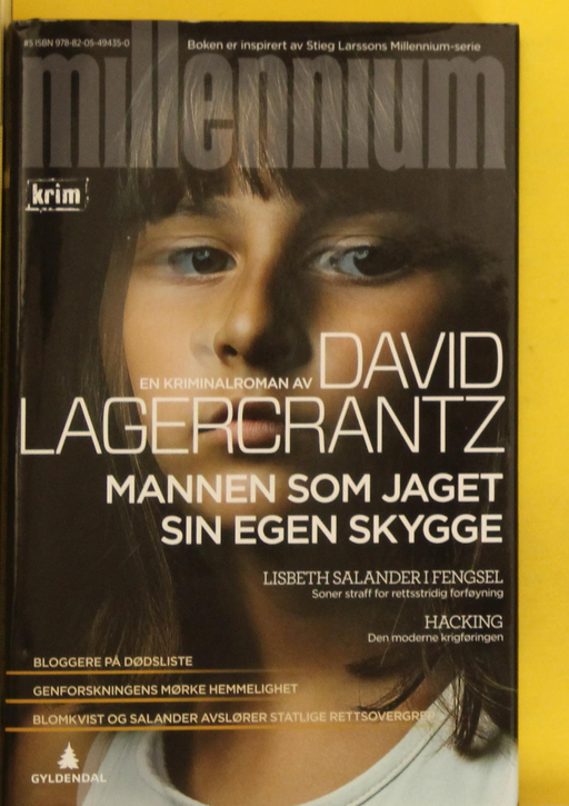 Mannen som jaget sin egen skygge - Bokia.no