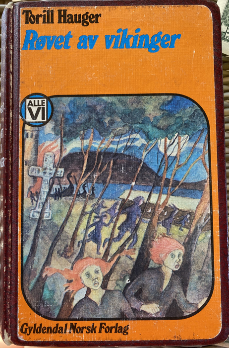 Røvet av vikinger (Innbundet) - Bokia.no
