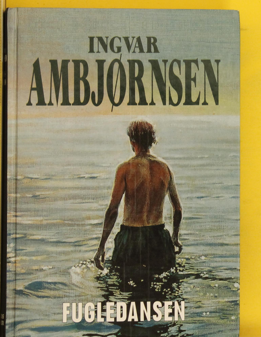 Fugledansen: roman (Innbundet) - Bokia.no