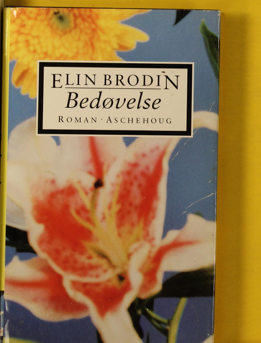 Bedøvelse (Innbundet) - Bokia.no