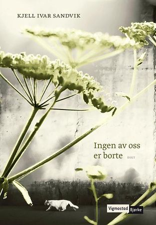 Ingen av oss er borte 9788241911828 Kjell Ivar Sandvik Brukte bøker