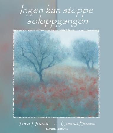 Ingen kan stoppe soloppgangen 9788252000221 Tove Houck Brukte bøker