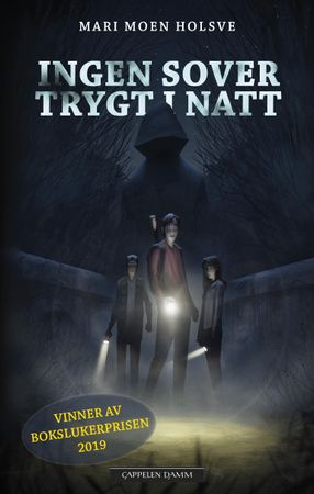 Ingen sover trygt i natt 9788202644550 Mari Moen Holsve Brukte bøker