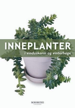 Inneplanter 9788251622417 Dorte Nissen Brukte bøker