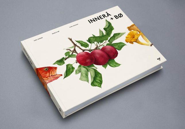 Innerå+Bø 9788269053708 Merete Bø Kari Innerå Brukte bøker