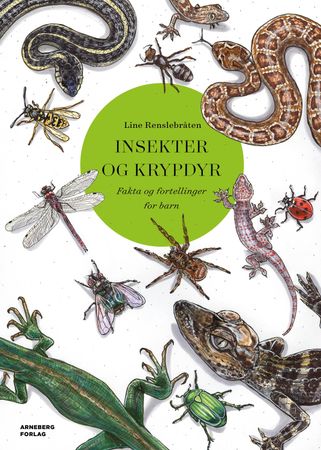 Insekter og krypdyr 9788282201506 Line Renslebråten Brukte bøker