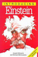 Introducing Einstein 9781840460605 Joseph Schwartz Michael McGuinness Brukte bøker