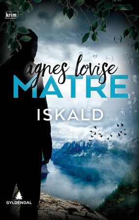 Iskald 9788205511705 Agnes Lovise Matre Brukte bøker