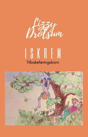 Iskrem 9788230345863 Lizzy Drolsum Brukte bøker