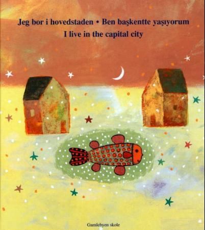 Jeg bor i hovedstaden = Ben baskentte yasiyorum = I live in the capital city 9788299668606  Brukte bøker