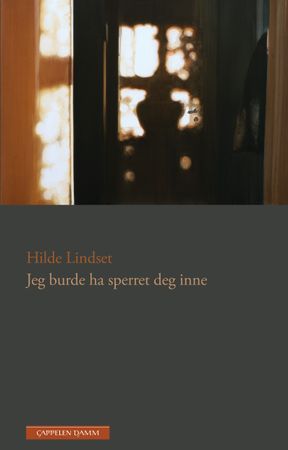 Jeg burde ha sperret deg inne 9788202380571 Hilde Lindset Brukte bøker