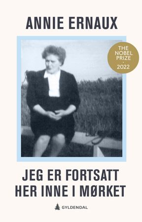 Jeg er fortsatt her inne i mørket 9788205585430 Annie Ernaux Brukte bøker