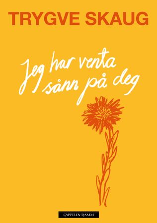 Jeg har venta sånn på deg 9788202826093 Trygve Skaug Brukte bøker