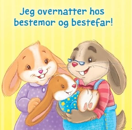 Jeg overnatter hos bestemor og bestefar! 9788278885413 Adrienne Heymans Brukte bøker