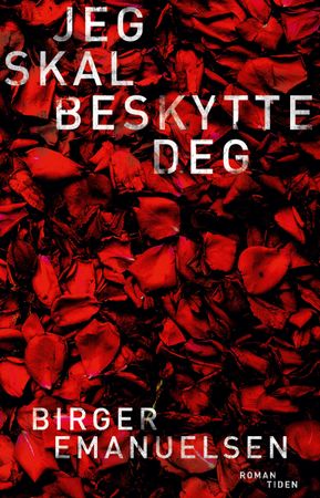 Jeg skal beskytte deg 9788210056055 Birger Emanuelsen Brukte bøker