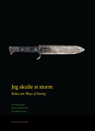 Jeg skulle si storm 9788249522798  Brukte bøker